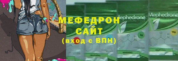 индика Надым