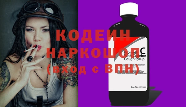 индика Надым