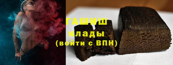 индика Надым