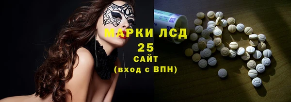 индика Надым