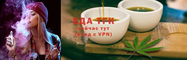 индика Надым