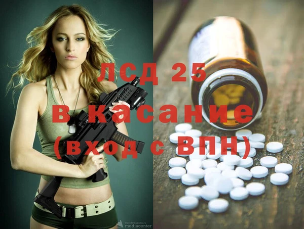гидра Михайловка