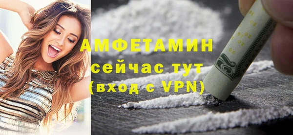 индика Надым