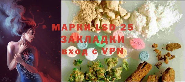 гидра Михайловка