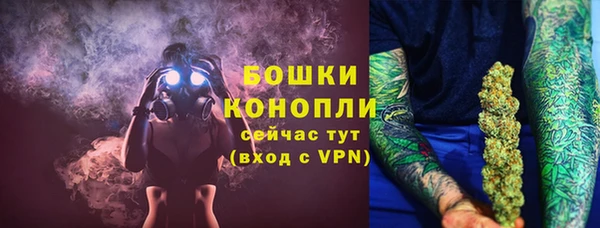 индика Надым