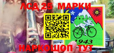 гашик Гатчина
