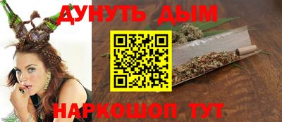 гашик Гатчина