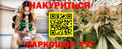 гашик Гатчина
