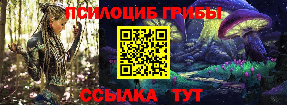 Галлюциногенные грибы Magic Shrooms  Псилоцибиновые грибы ЛСД  Надым  Вход с VPN 