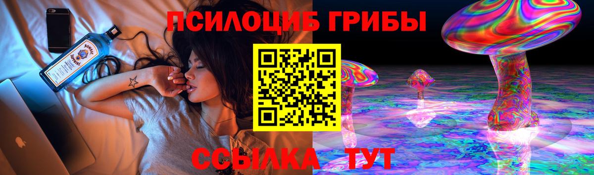 Псилоцибиновые грибы Cubensis Надым